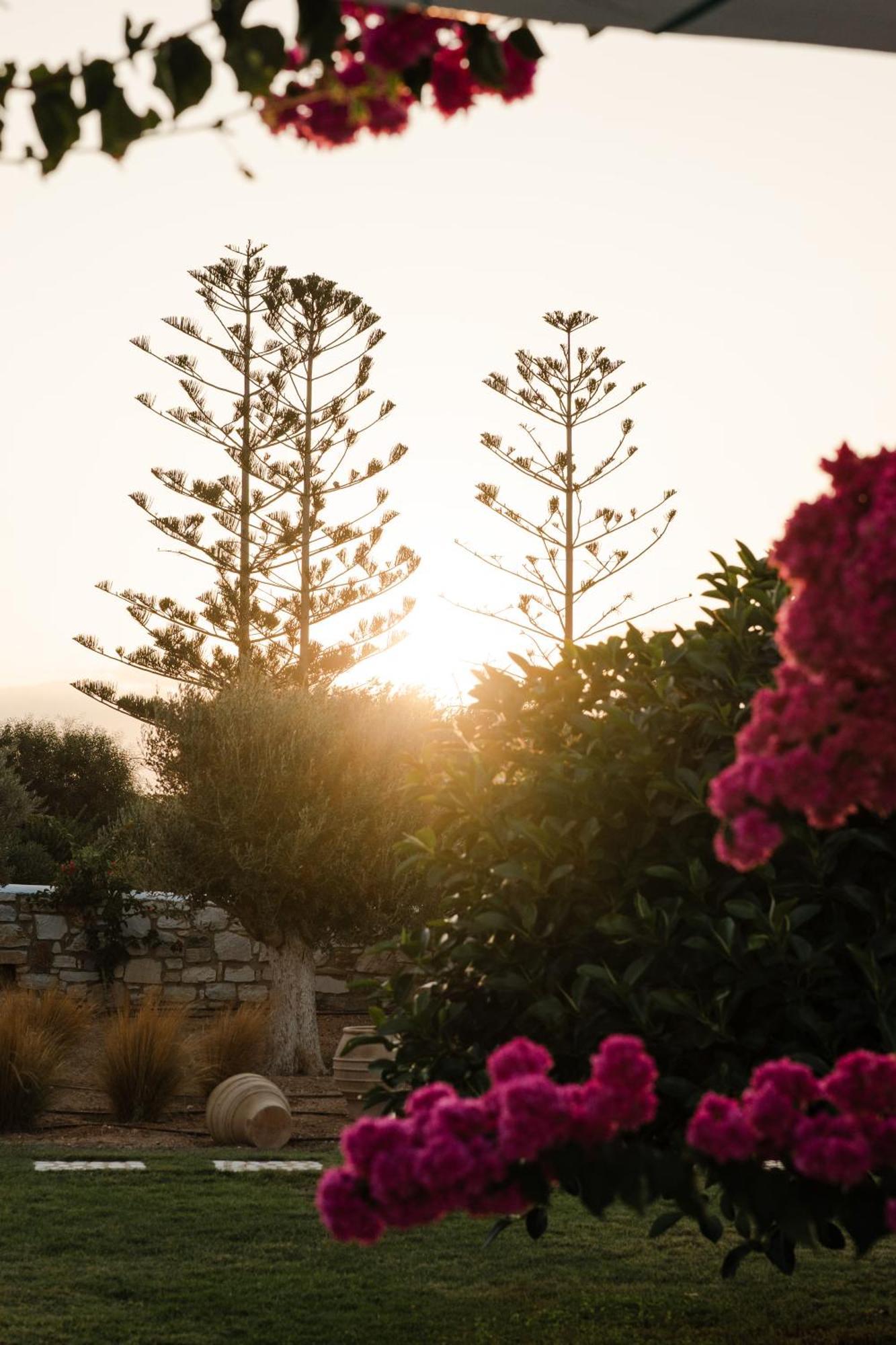 White Dunes Luxury Boutique Hotel Santa Maria  Exterior photo