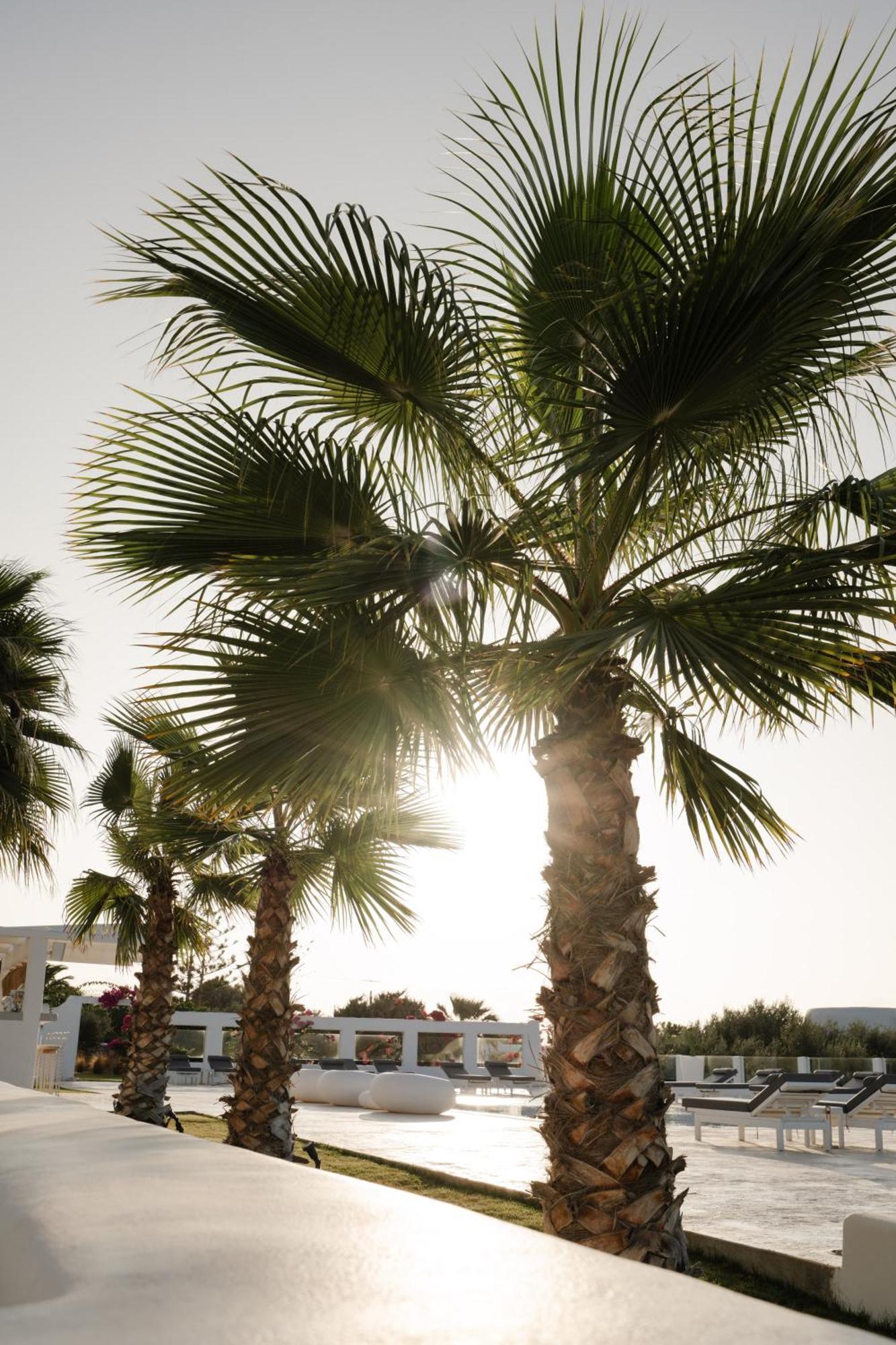 White Dunes Luxury Boutique Hotel Santa Maria  Exterior photo